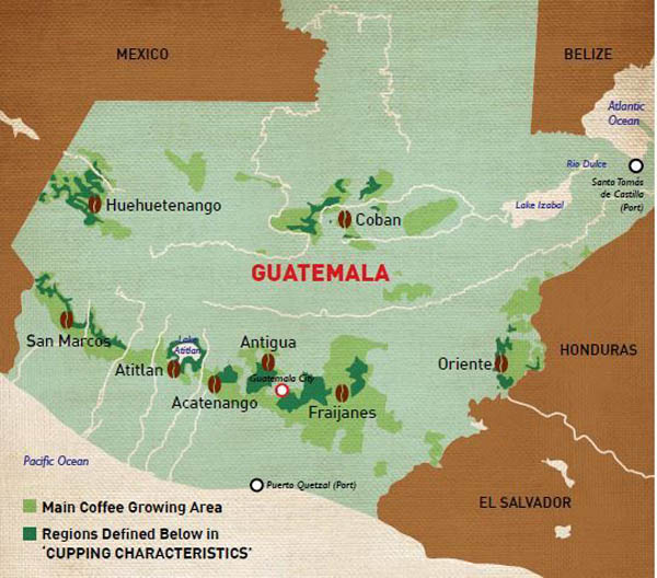 Кофе CUATTRO Guatemala (Гватемала) купить с доставкой по России